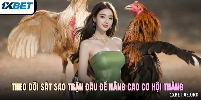 Theo dõi sát sao trận đấu để nâng cao cơ hội thắng