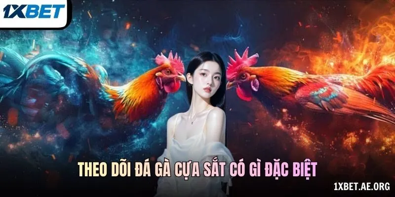 Theo dõi Đá gà cựa sắt có gì đặc biệt