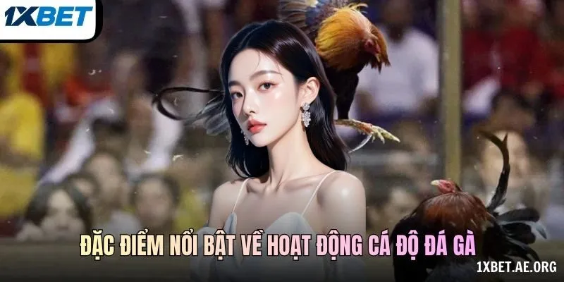 Đặc điểm nổi bật về hoạt động cá độ đá gà