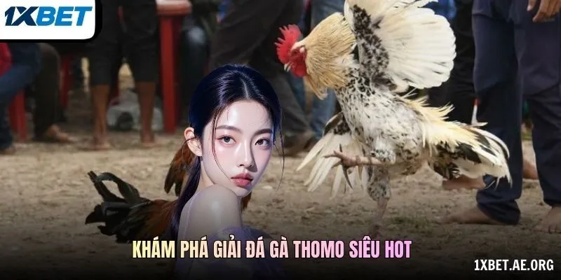 Khám phá giải Đá gà Thomo siêu hot