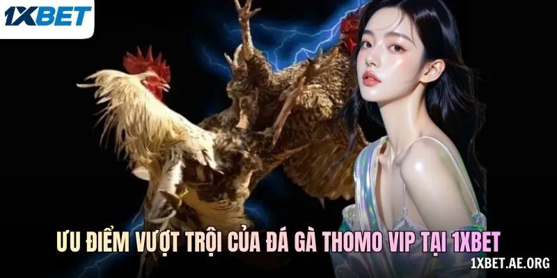 Ưu điểm vượt trội của Đá gà Thomo VIP tại 1xBET