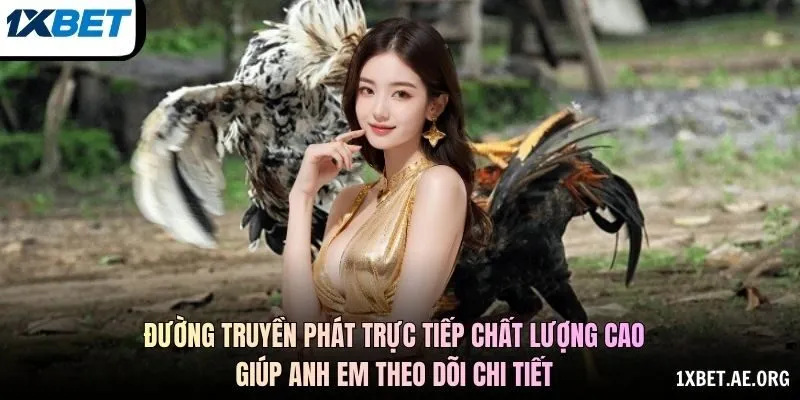 Đường truyền phát trực tiếp chất lượng cao giúp anh em theo dõi chi tiết