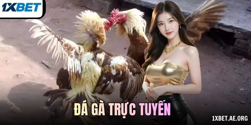 Đá gà trực tuyến